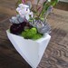 Sculptural Wood Planters size Medium