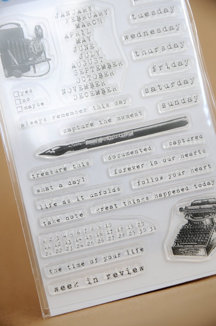 NEW swissgirlDesigns - Captured - Clear Stamps