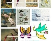 Bees and Birds Nature Digital Graphics JPEG 11 Images Sizable Print Cut Mixed Media Collage