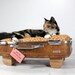 Upcycled Suitcase Pet Bed Handmade Wood Legs