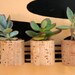 Mini Cork Magnets, Mixed Set of 3