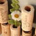 Wine Cork Magnets DIY Set of 12