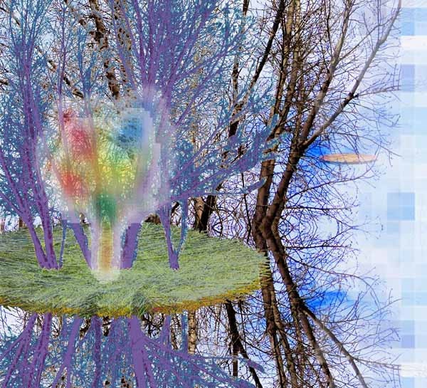 Tree 1 (Floating) 15x19 (Unframed Print)