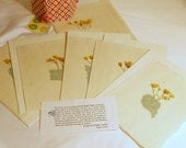 Hand Made Paper Folio with Five Spring Wild Flower Cards