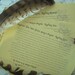 Yellow Pygmy the Clay Owl: Harry Potter Inspired Owlery