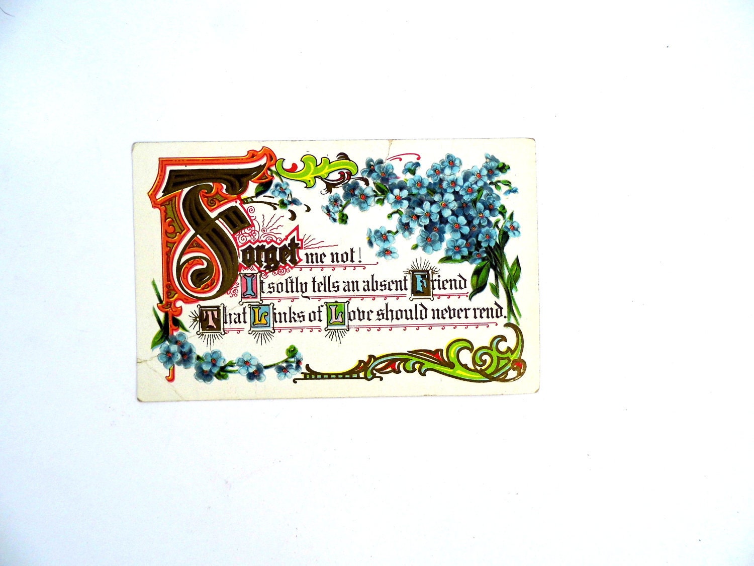 Vintage Postcard, Early 1900s Postcard, Vintage Embossed Postcard, Forget Me Not