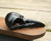 crow skull replica - black