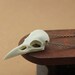 glow in the dark mini crow skull necklace - green