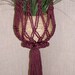 PATTERN for Macrame Plant Hanger  -  Carousel Buttons