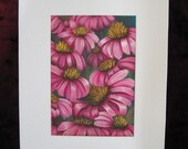Pink Cone Flowers Original Painting,  Matted 8 x 10 inches