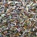 Blue Skies Courage Blend - Organic - A tea for parents after baby is born
