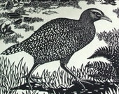 Weka tea-towel