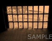 Paned Window in Sepia