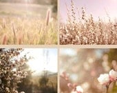 Nature Print Set- Wall Art Set, Four 8x10 Photographs, Boho Wall Art,  Photo Set, Wall Decor, Spring Home Decor, Floral, Cottage, Blossoms