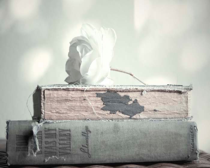 Book Photography, Still Life Photography, Romantic, Book Decor, Vintage Book Print, Grey Wall Art, Olive, White Rose, 8x10 Print