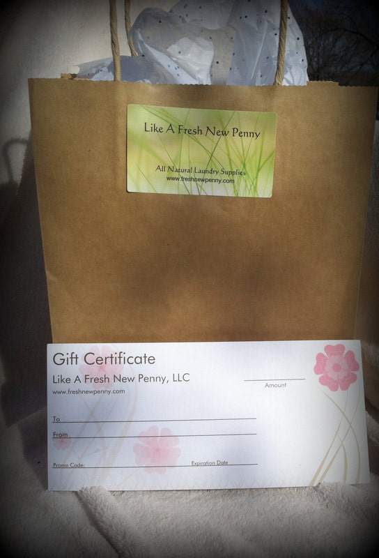 Gift Certifcate-10 dollars  to use in my Etsy shop