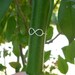 Sterling Silver INFINITY Ring