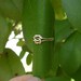 Love Knot Ring