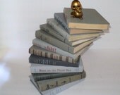 Shades of Gray Books Instant Library Collection by Color Bundle 12 Vintage Decorative Books Photography Props Grey
