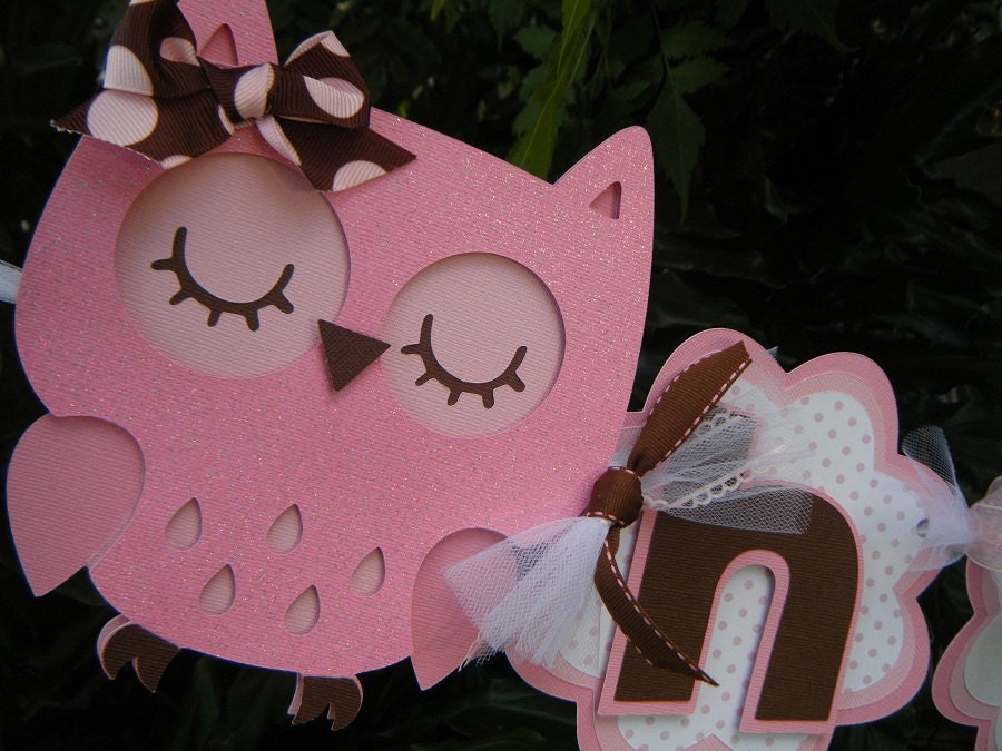 Owl "happy birthday" BANNER in Pink and Brown