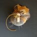 Creativity Abundance Spirit Stone Citrine Pheasant Feathers