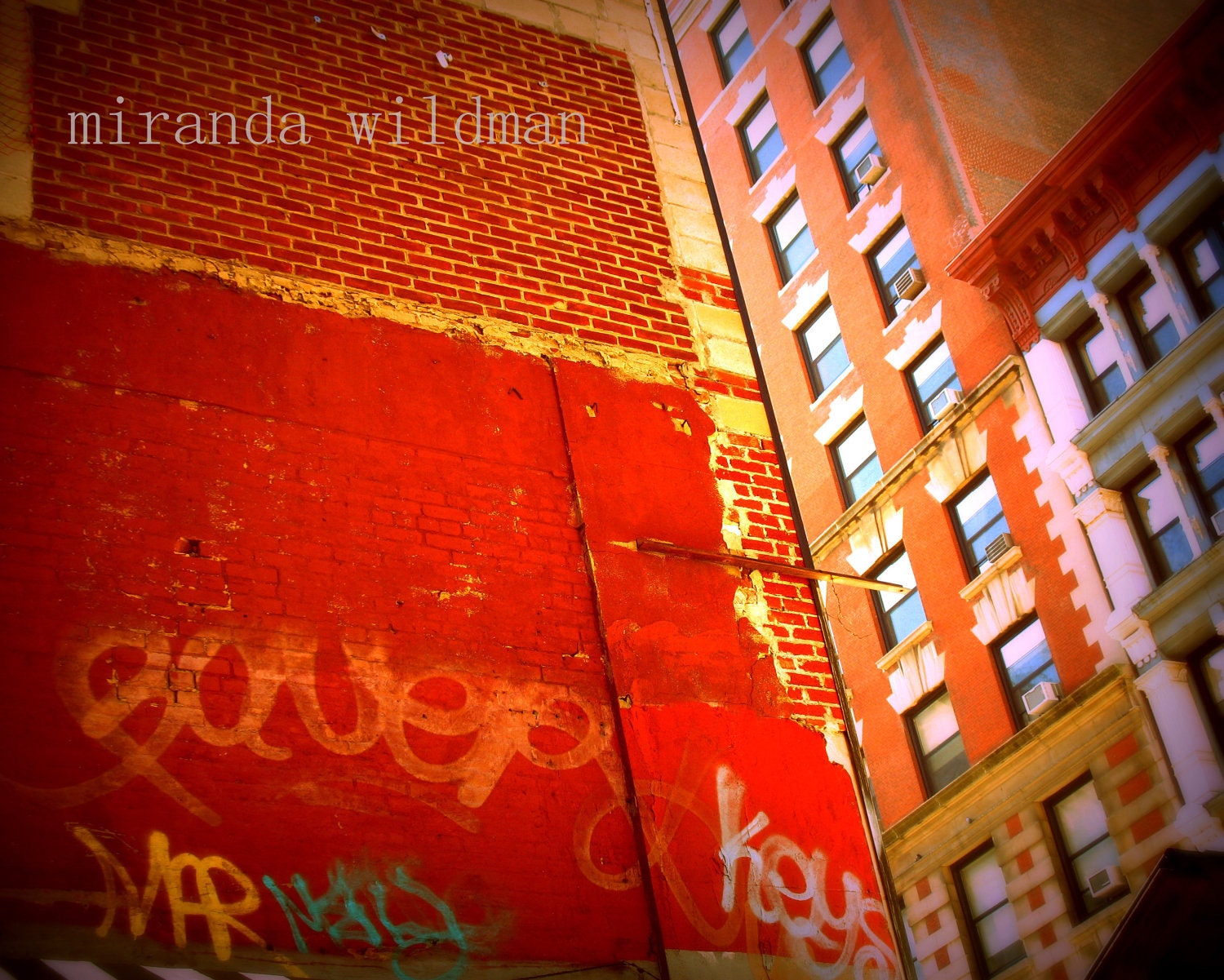 illusion walls 8x10 fine art photograph by Miranda Wildman FREE SHIPPING