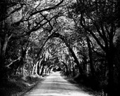 perfect discovery 11x14 photographic print by Miranda Wildman FREE SHIPPING
