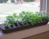 Upcycled Poultry Herb Planter Center Piece