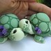 Love Turtles