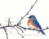 watercolor bird- Bluebird- 5x7 print