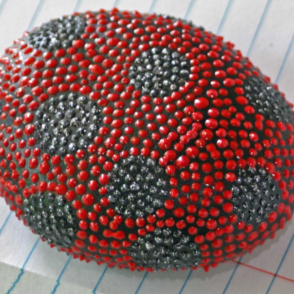 Lady Bug Dot Hand Painted Rock