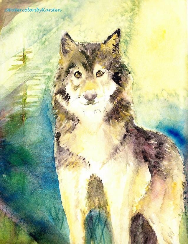 Watercolor Painting wolf Timberwolf