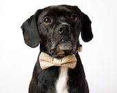 Sorbet Grid Bow Tie Dog Collar