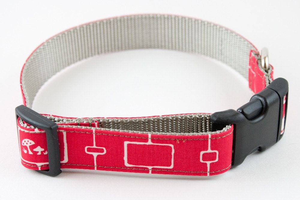 Neon Pink Squirrel and Mushrooms Dog Collar