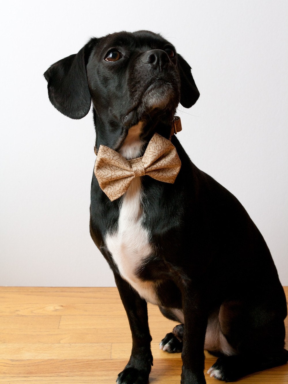 Oatmeal Alphabet Bow Tie Dog Collar