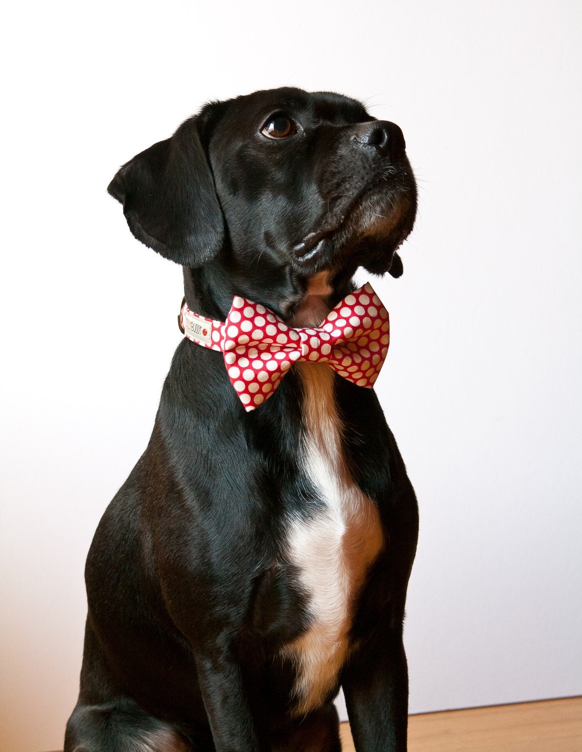 Red Honeycomb Bow Tie Dog Collar