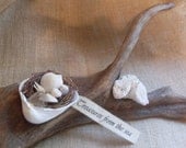 Driftwood Coral & Shell Nest