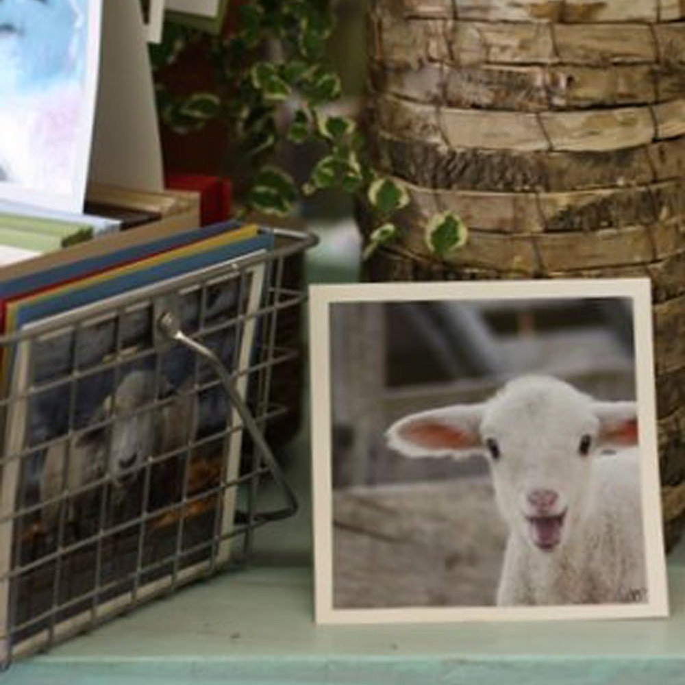 Yes - fine cards (and farm-fresh)