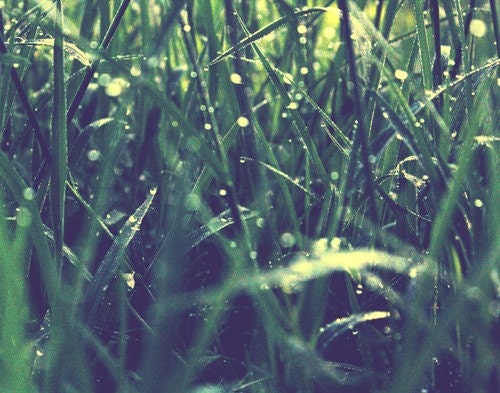 Condensation 5x7 Fine Art Photography Print