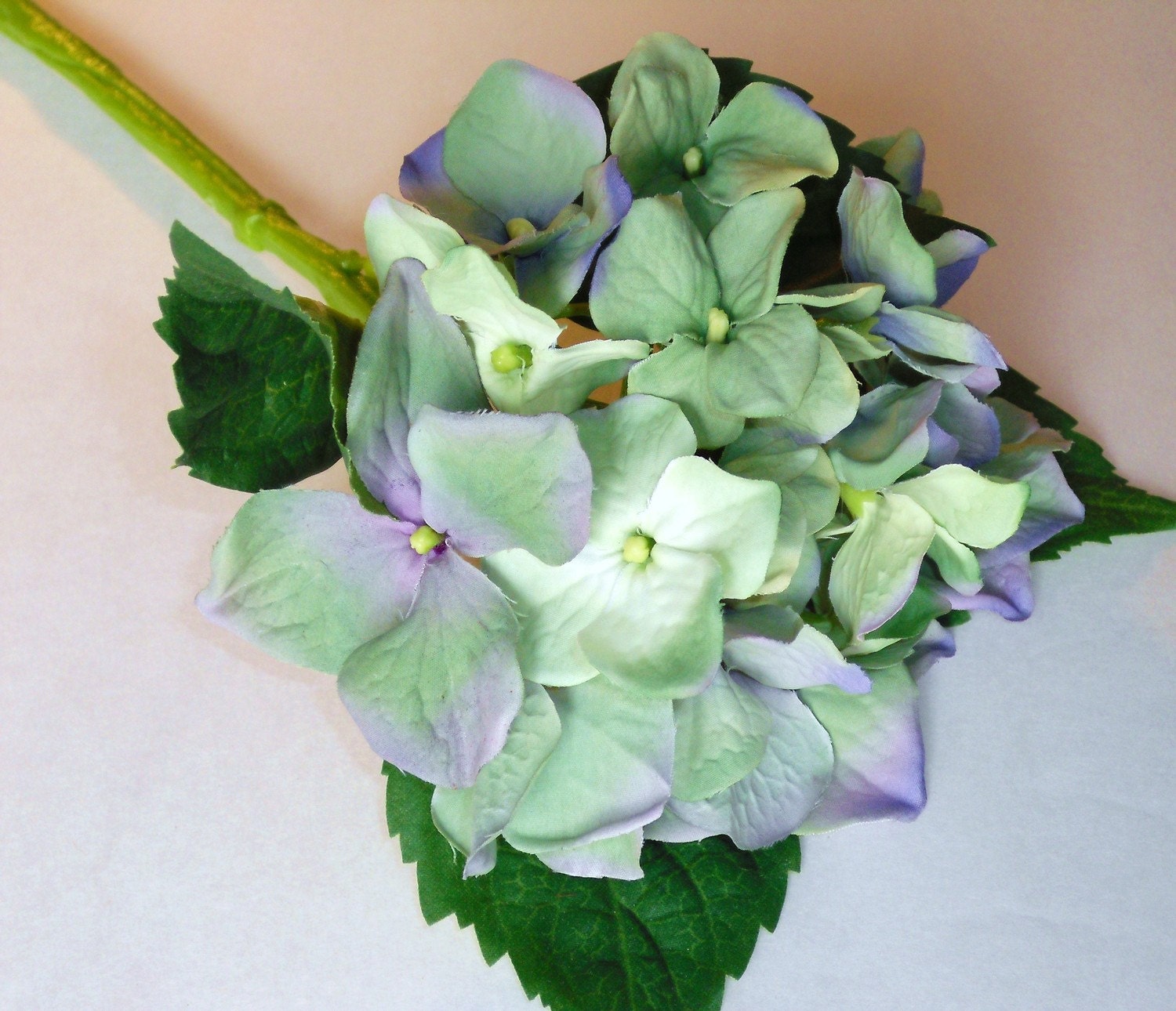 hydrangea bouquet wedding