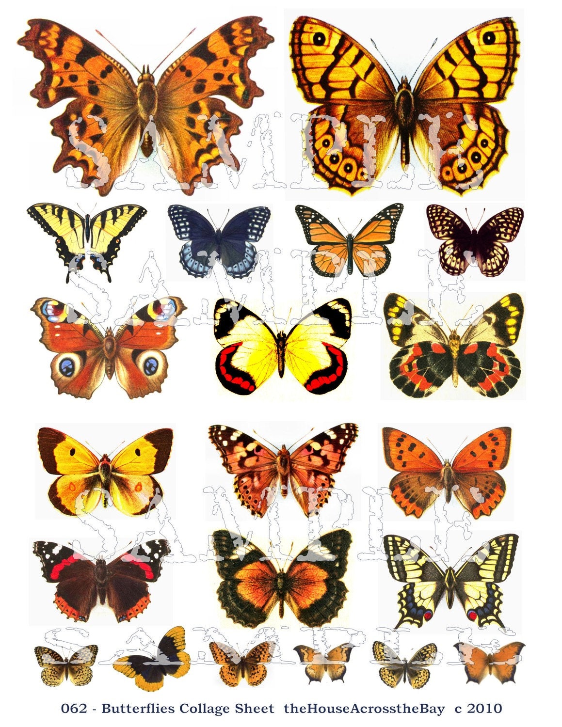 Butterfly Butterflies Digital Collage Sheet Scrapbooking ACEO ATC Digital Collage Sheet Card Tag Embellishment Background Tags 062