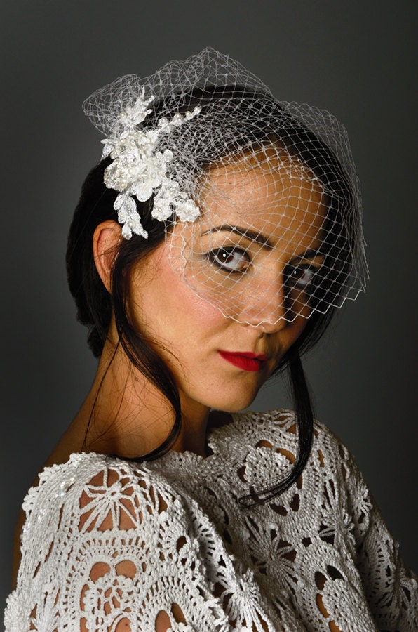 Dreaming of Lace birdcage veil