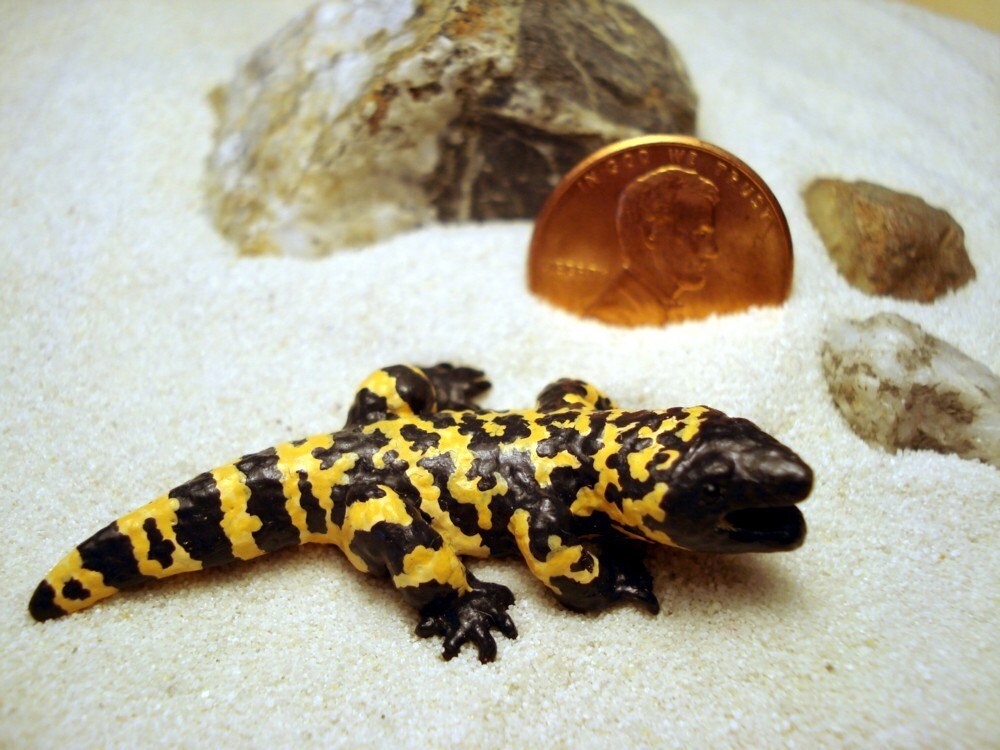 Pet Gila Monster