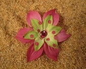 Fuschia and green POLKA dotted flower clip