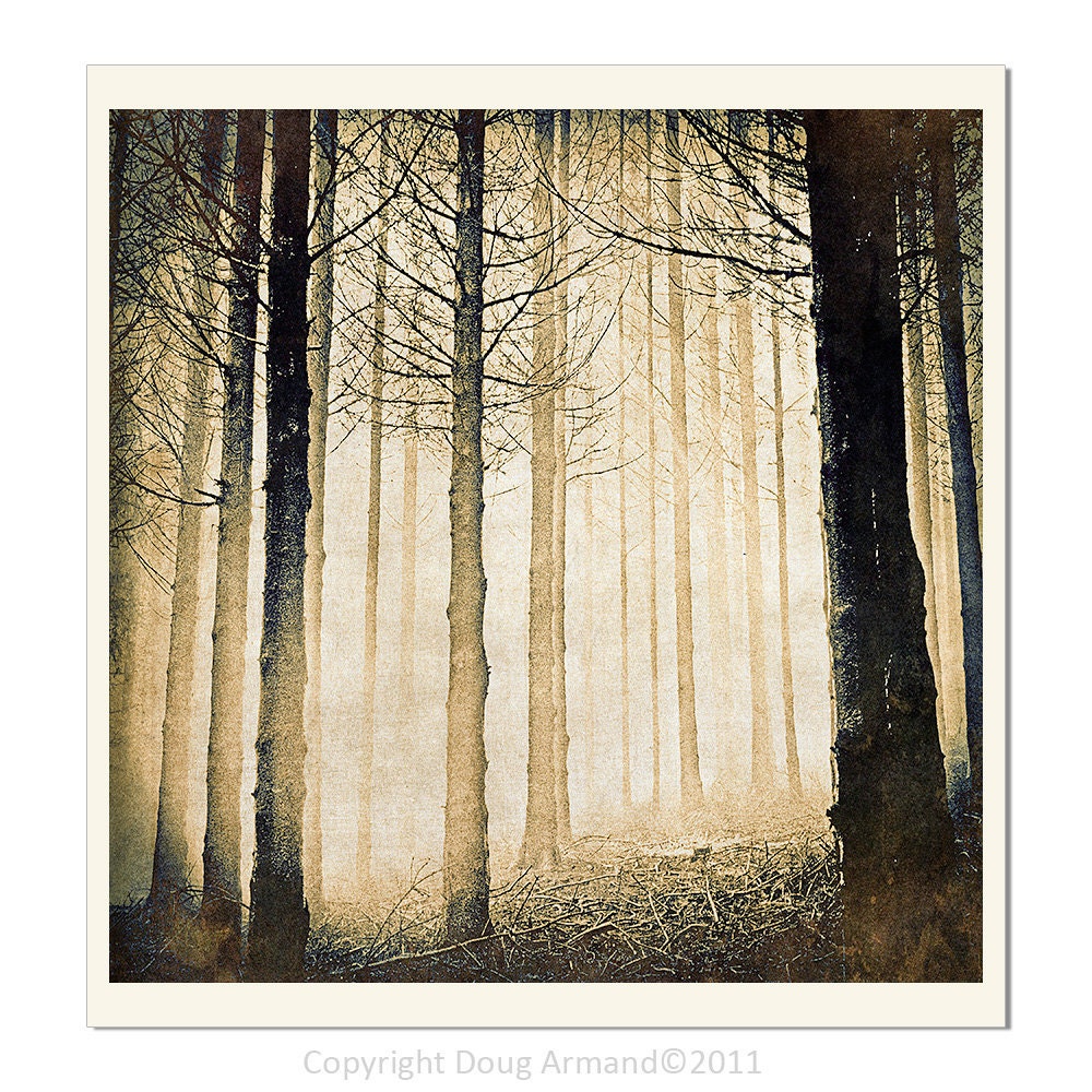 Spooky Forest - Fine Art Photographic 8x8 inch/ 20.32x20.32 cm Print by Doug Armand on Etsy - DAIP0067