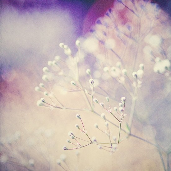 Delicate - 4x4 nature print