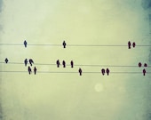 Birds melody - 8x8 fine art photo print, birds on wire, morning song,  vintage, home decor. Buy one get one free sale