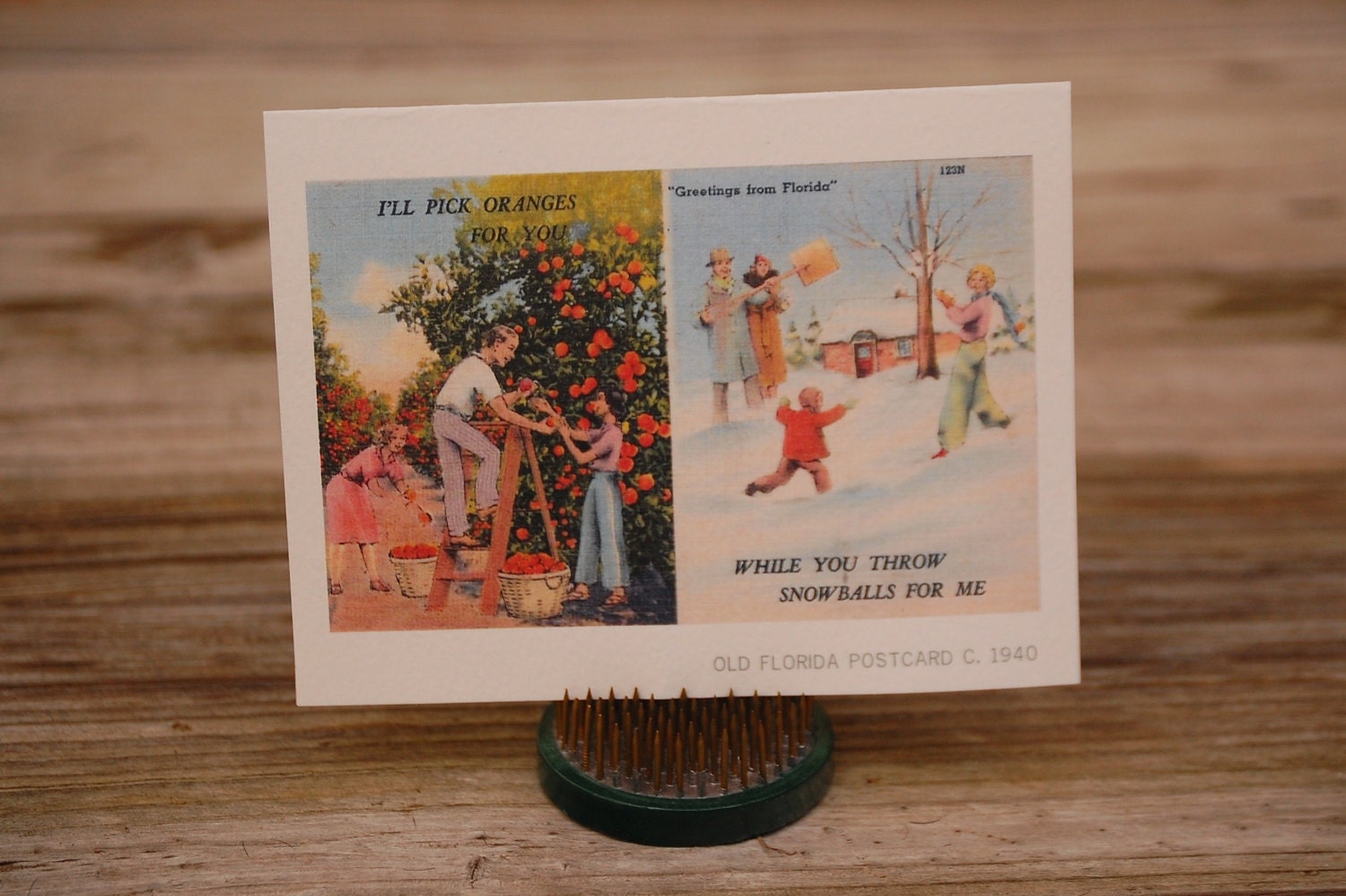 Oranges or Snowballs notecard, made from a vintage Florida postcard