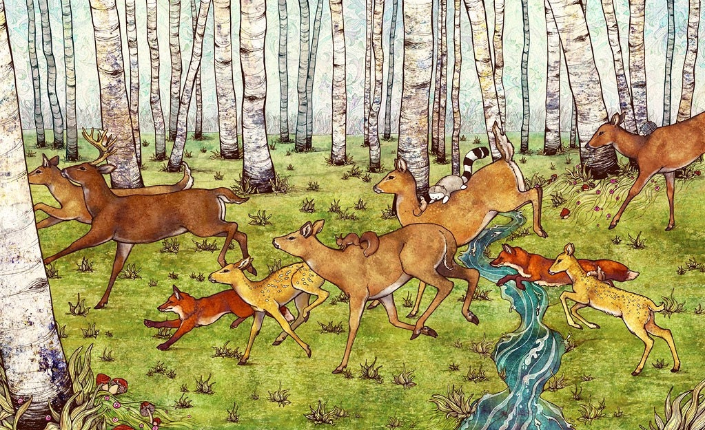 We Raced the Wind and Won - Limited Edition