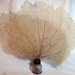 Vintage ink well bottle with soldered sea fan